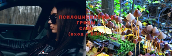таблы Верея