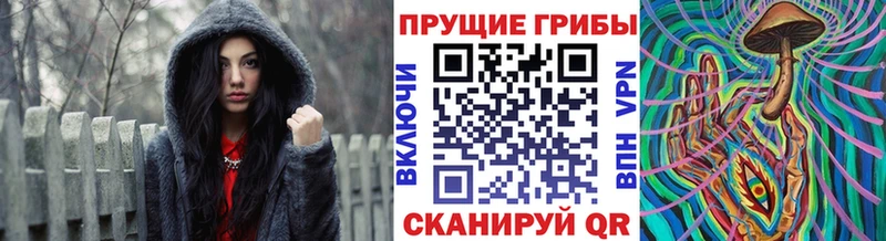 Галлюциногенные грибы Magic Shrooms Красновишерск